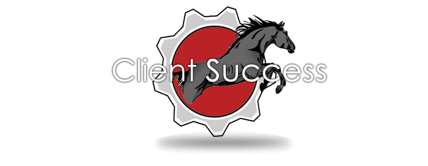 Client Success
